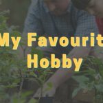 My Hobby Composition